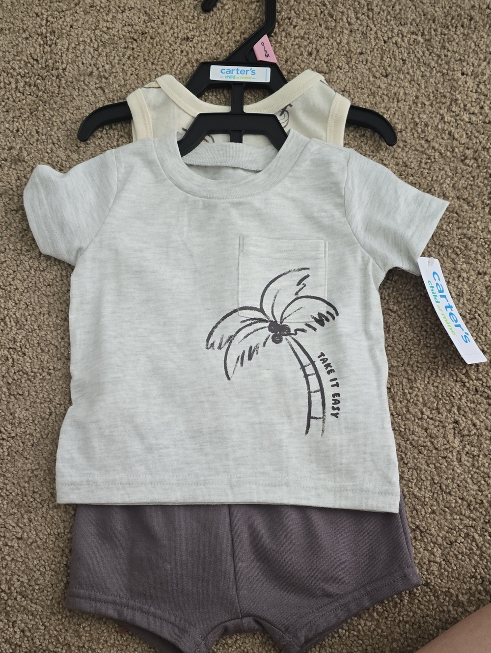 Carter's Baby Boys Palm Graphic Tee in Light Gray